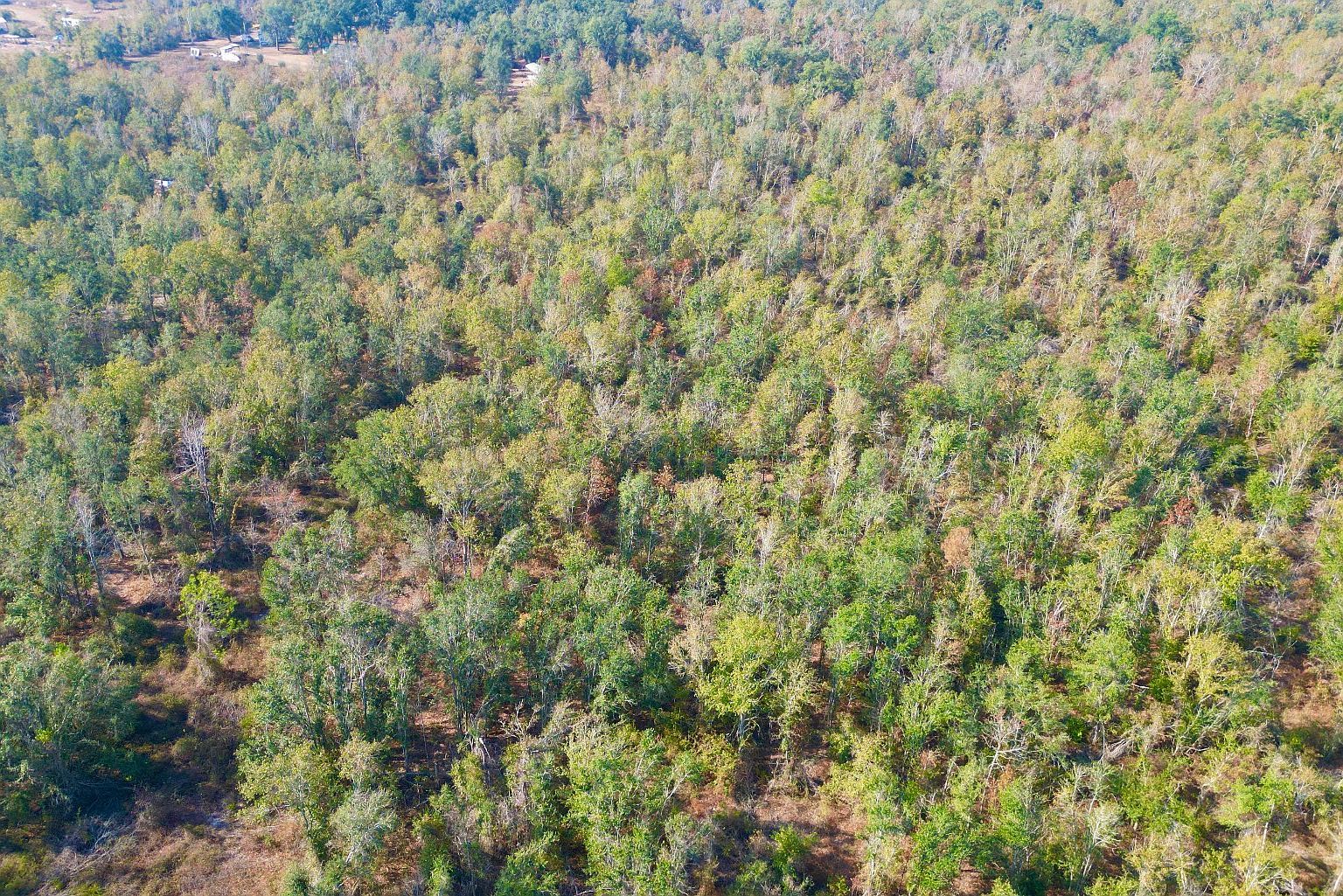 SE Kachina Ave Lee, FL 32059  | Land/Lot