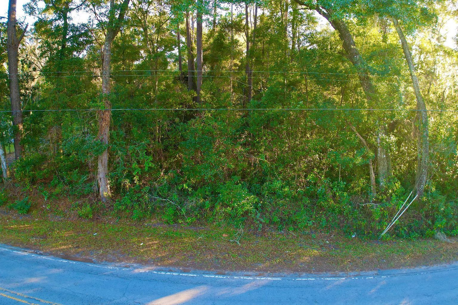 SW County Road 346 Archer, FL 32618  | Land/Lot