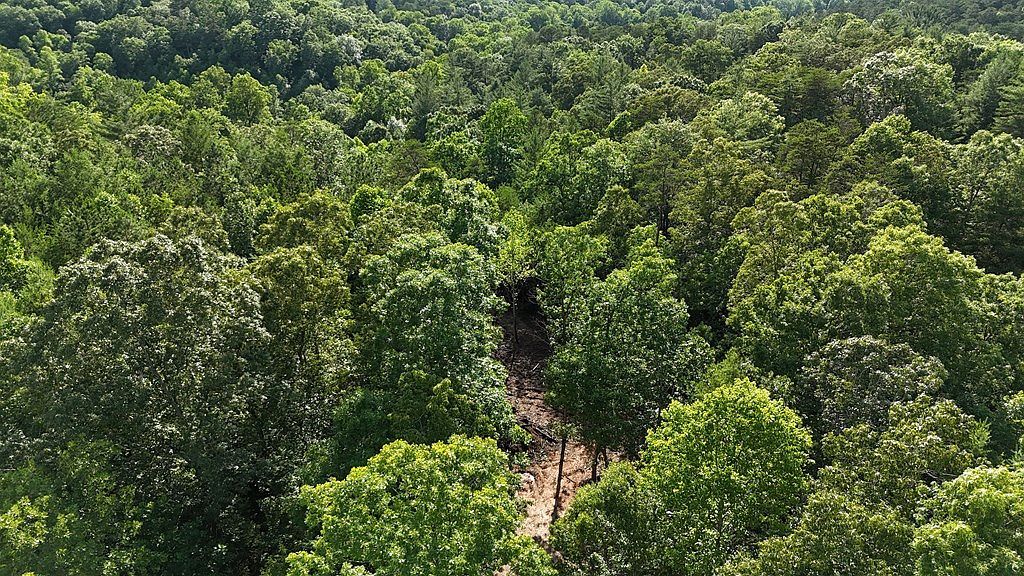 Township Road 2 E Ellijay, GA 30536  | Land/Lot