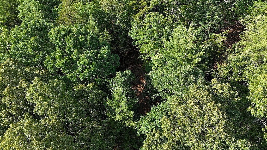 Township Road C E Ellijay, GA 30536  | Land/Lot