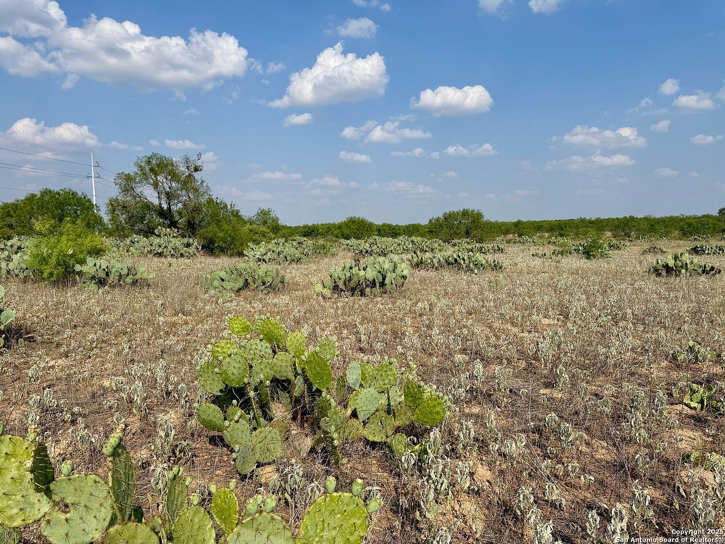 62 East Cres #1647 Moore, TX 78057 | Land/Lot