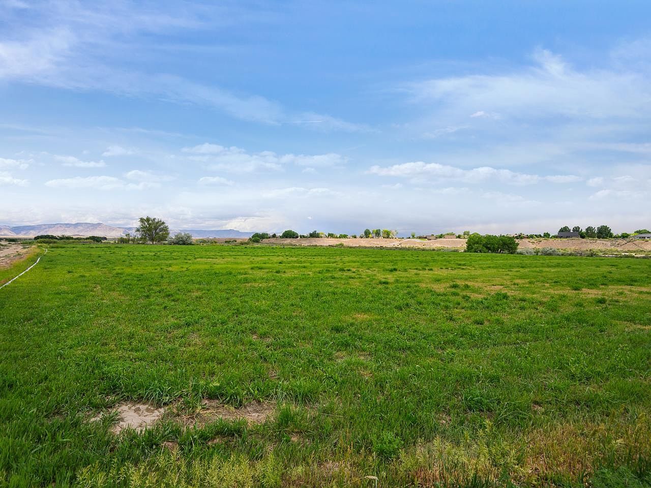1810 M 3/4 Rd Fruita, CO 81521  | Land/Lot