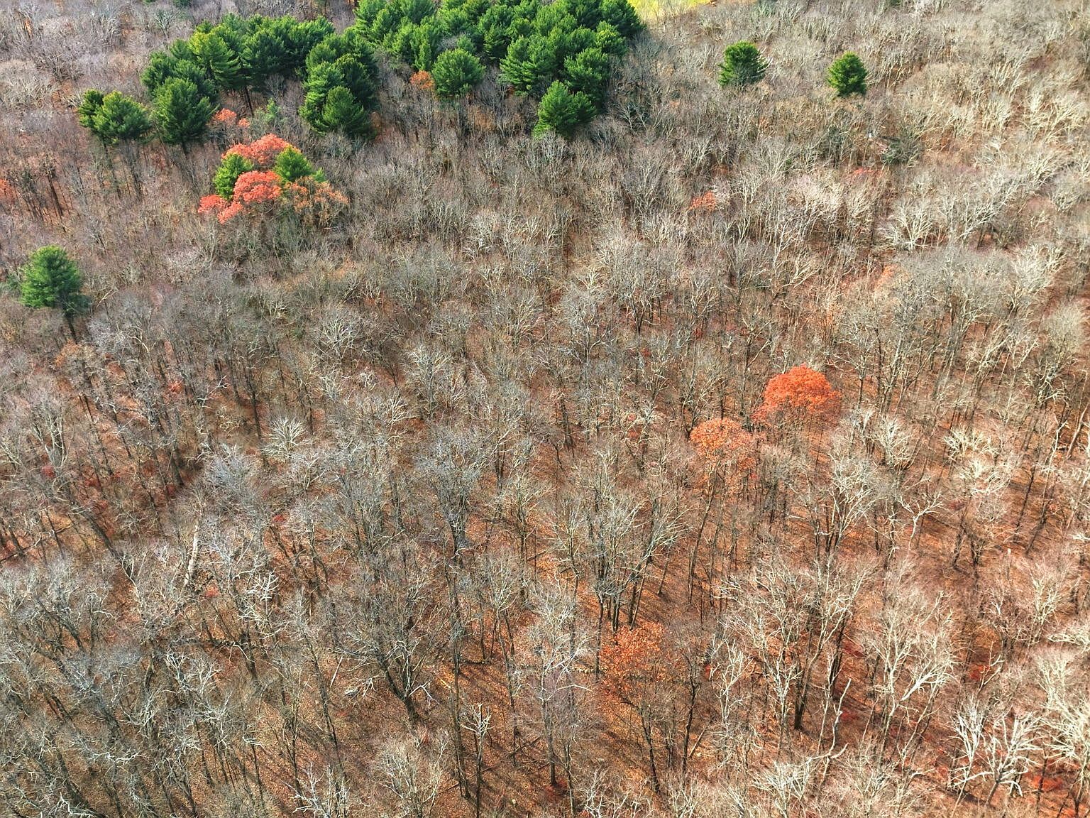 126 Hebron Rd Bolton, CT 06043  | Land/Lot