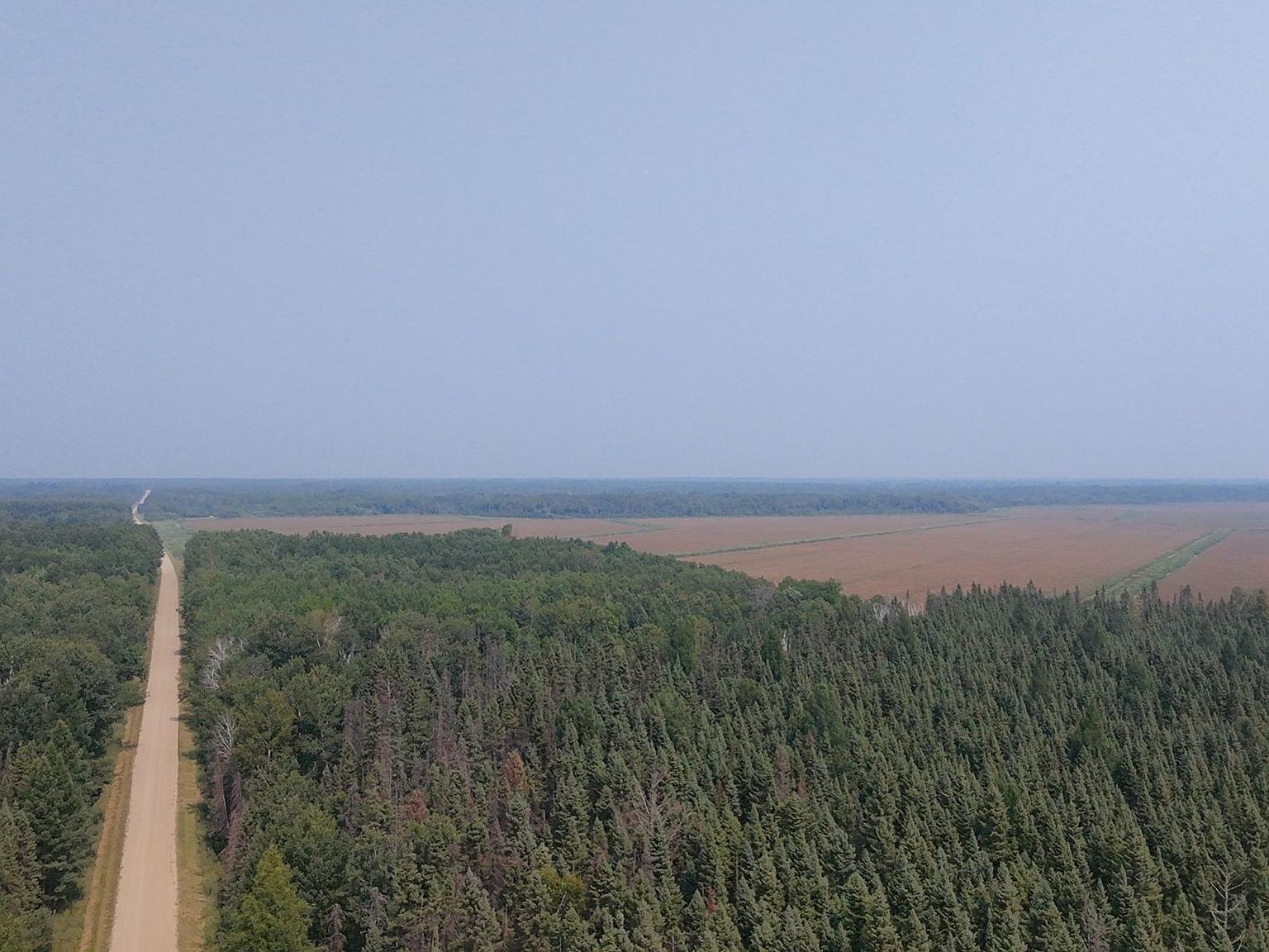 Sunflower Rd NE Kelliher, MN 56650  | Land/Lot