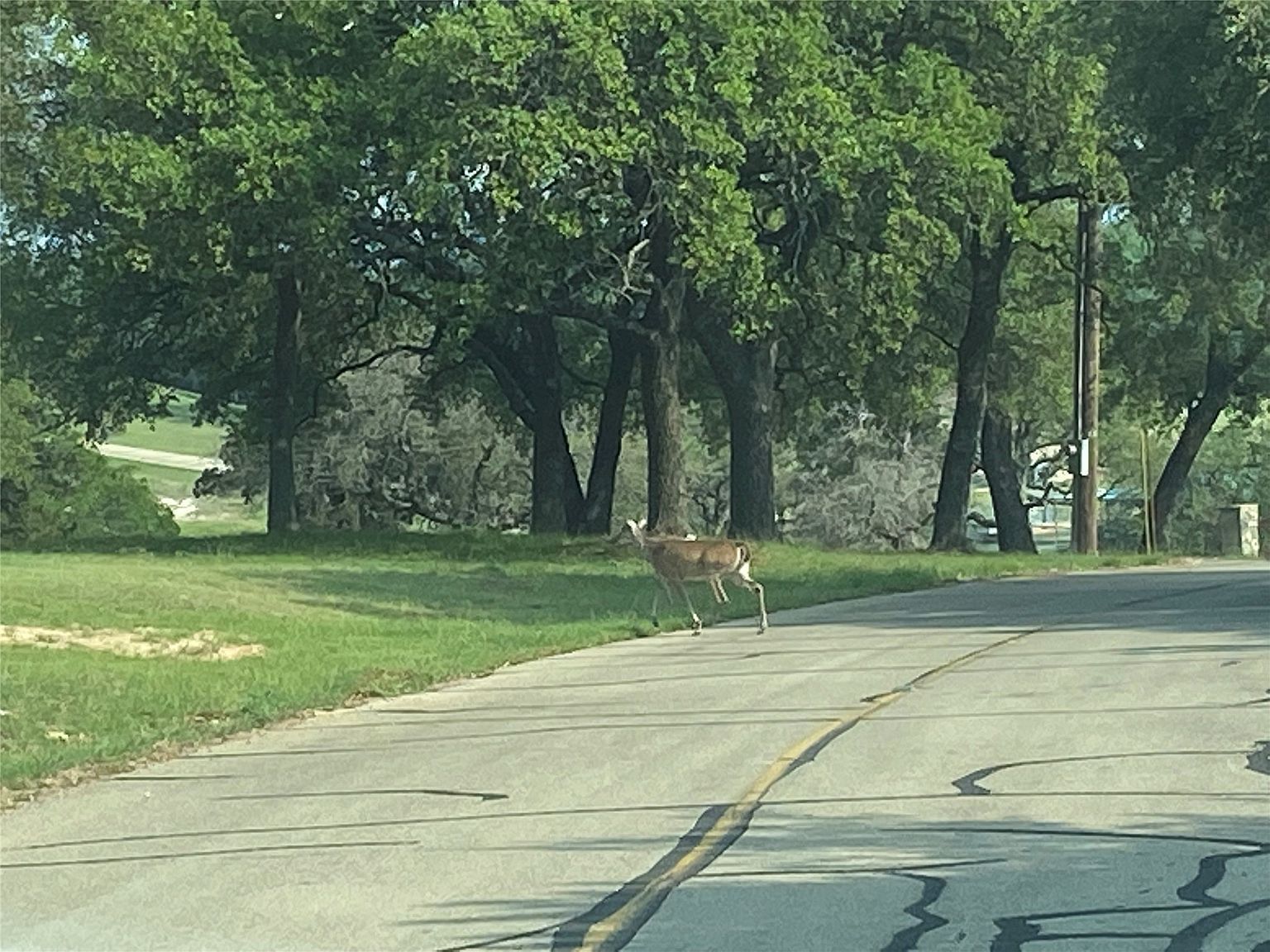 15039 Golf Dr Whitney, TX 76692  | Land/Lot