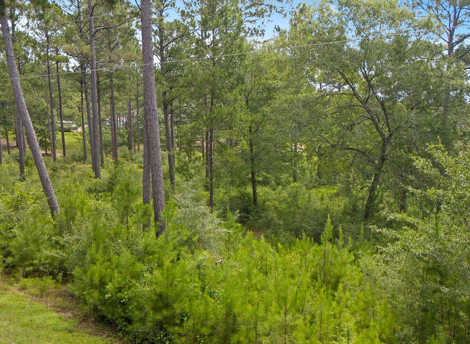 Burnt Pine Rd Leakesville, MS 39451 | Land/Lot