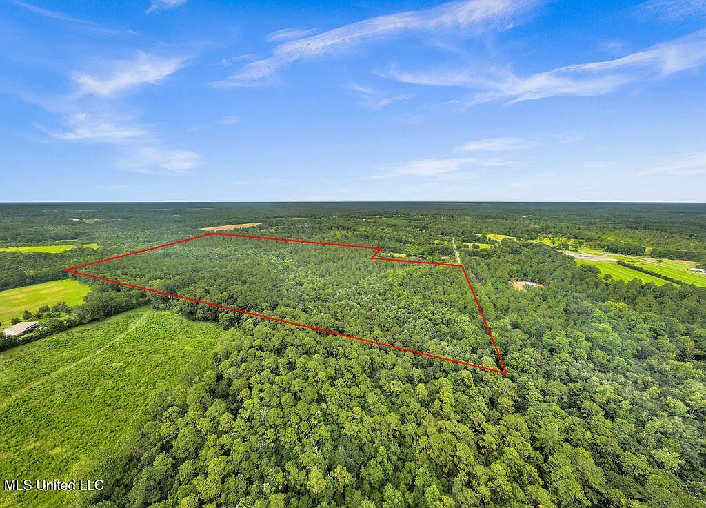 278 Cowart Rd Lucedale, MS 39452  | Land/Lot