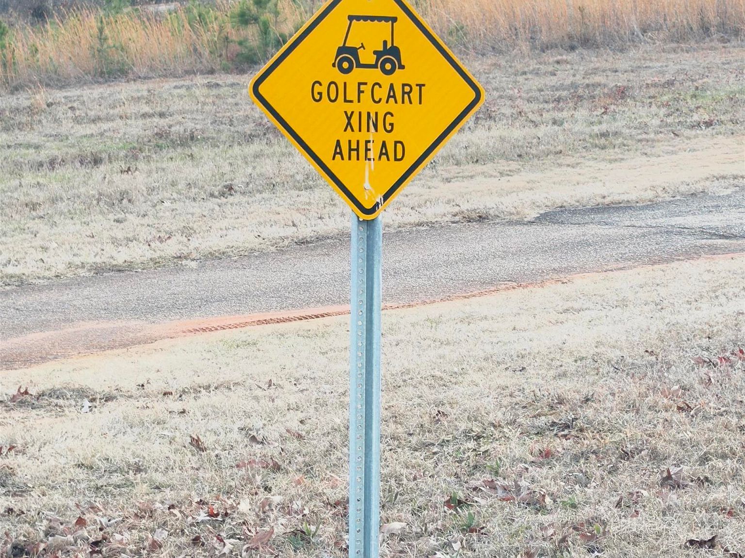 10 Oak Dr Hawkinsville, GA 31036 | Land/Lot