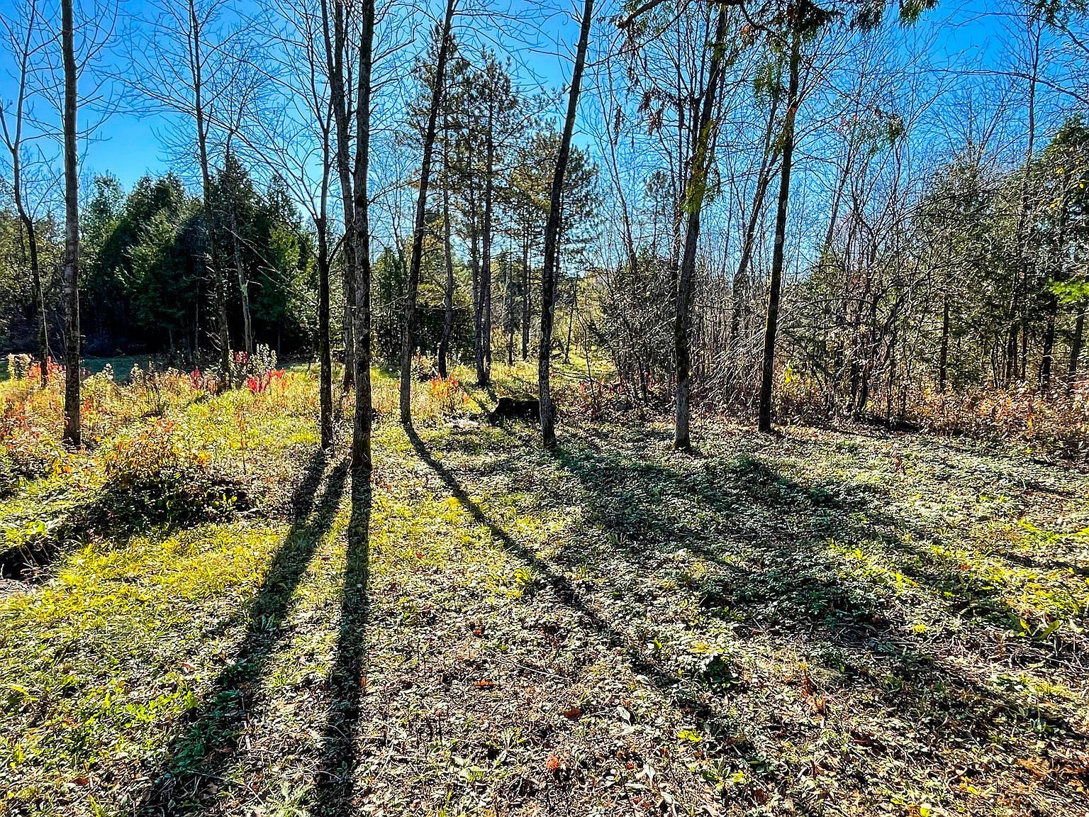 0 Fournier Rd West Chazy, NY 12992 | Land/Lot