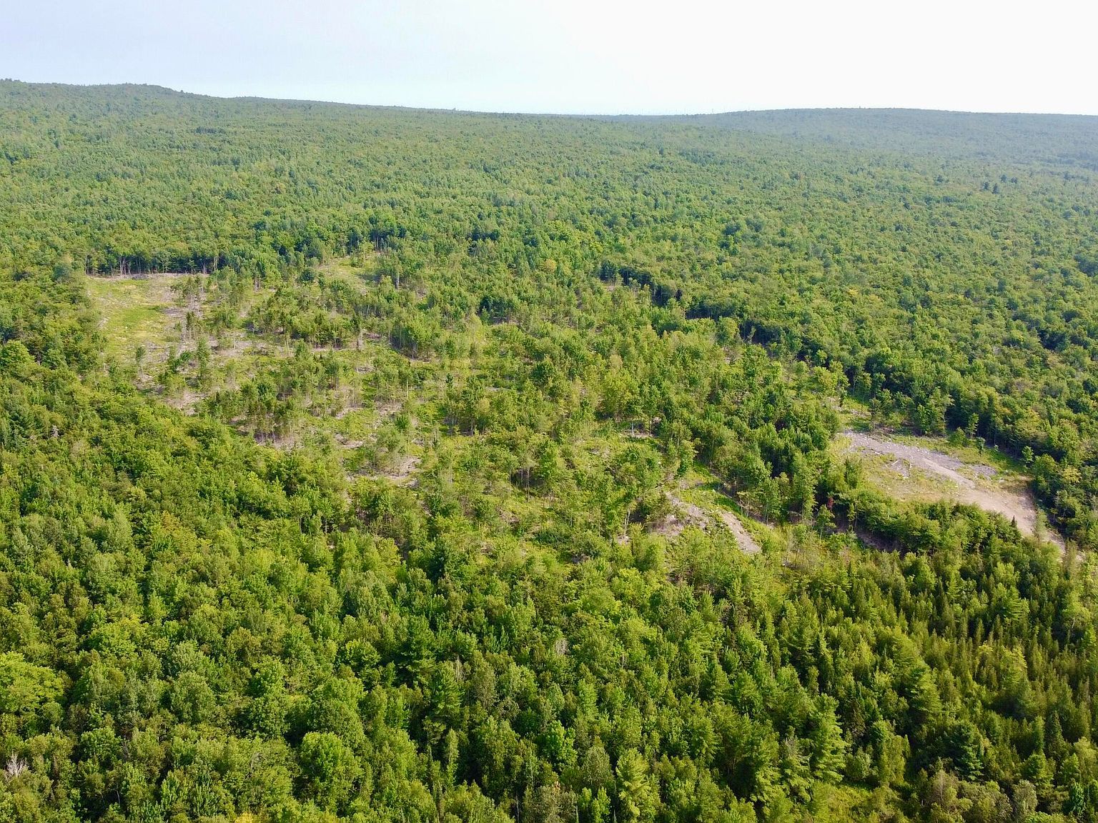 1078 General Leroy Manor Rd Cadyville, NY 12918 | Land/Lot