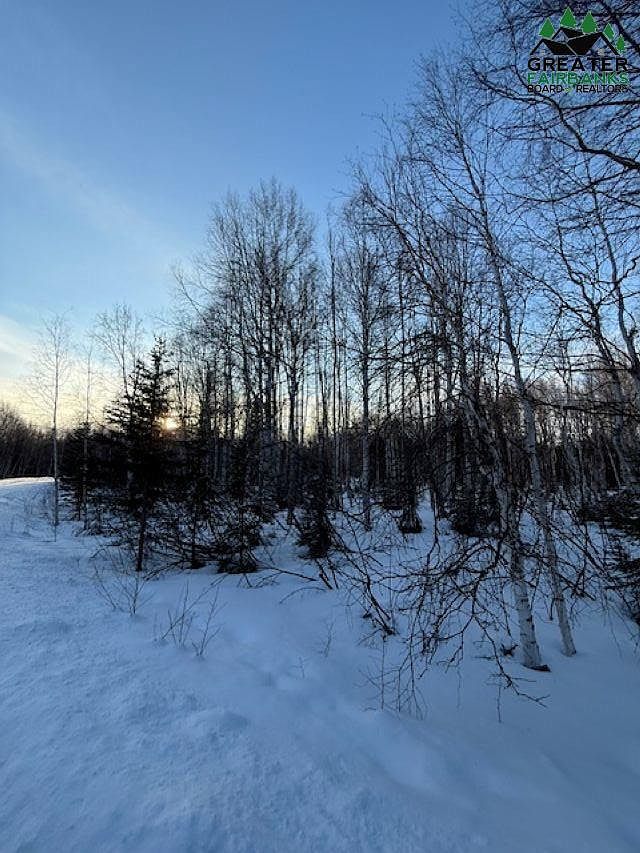 Nhn Orchid Dr Salcha, AK 99714  | Land/Lot