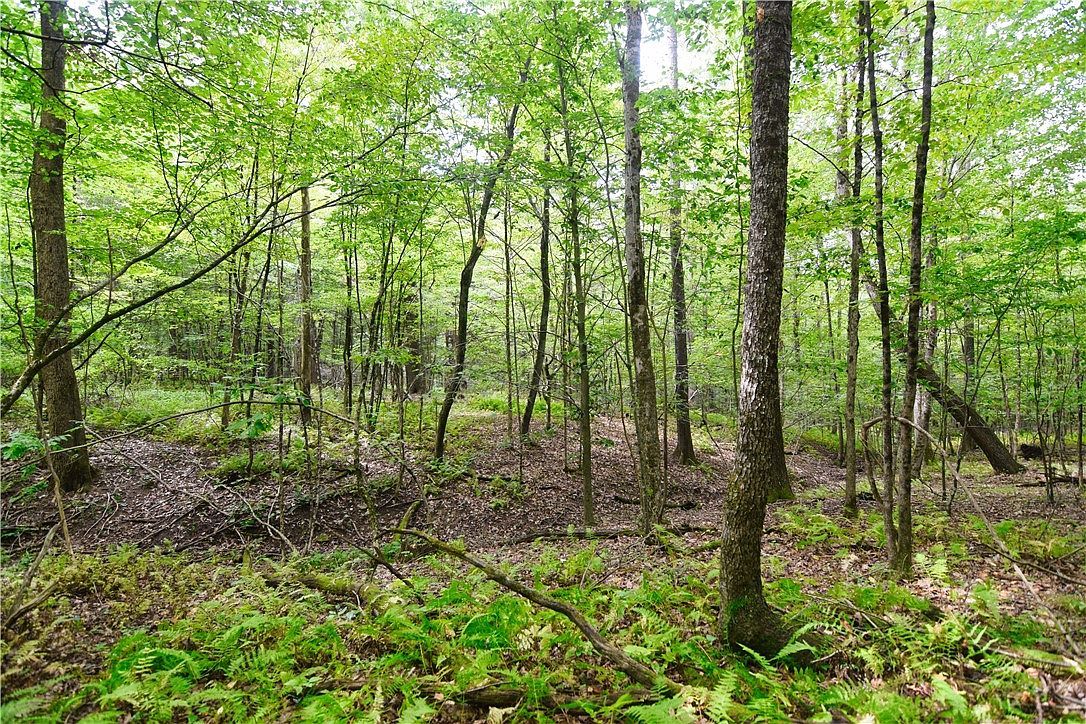 456 Preacher Hill Rd Tidioute, PA 16351 | Single Family