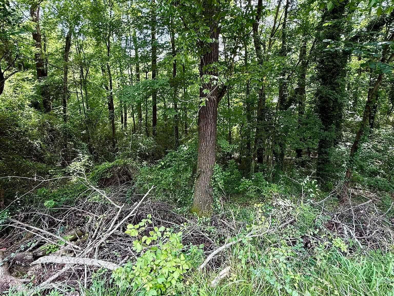 8215 Baker Ave #4&5 Leeds, AL 35094  | Land/Lot