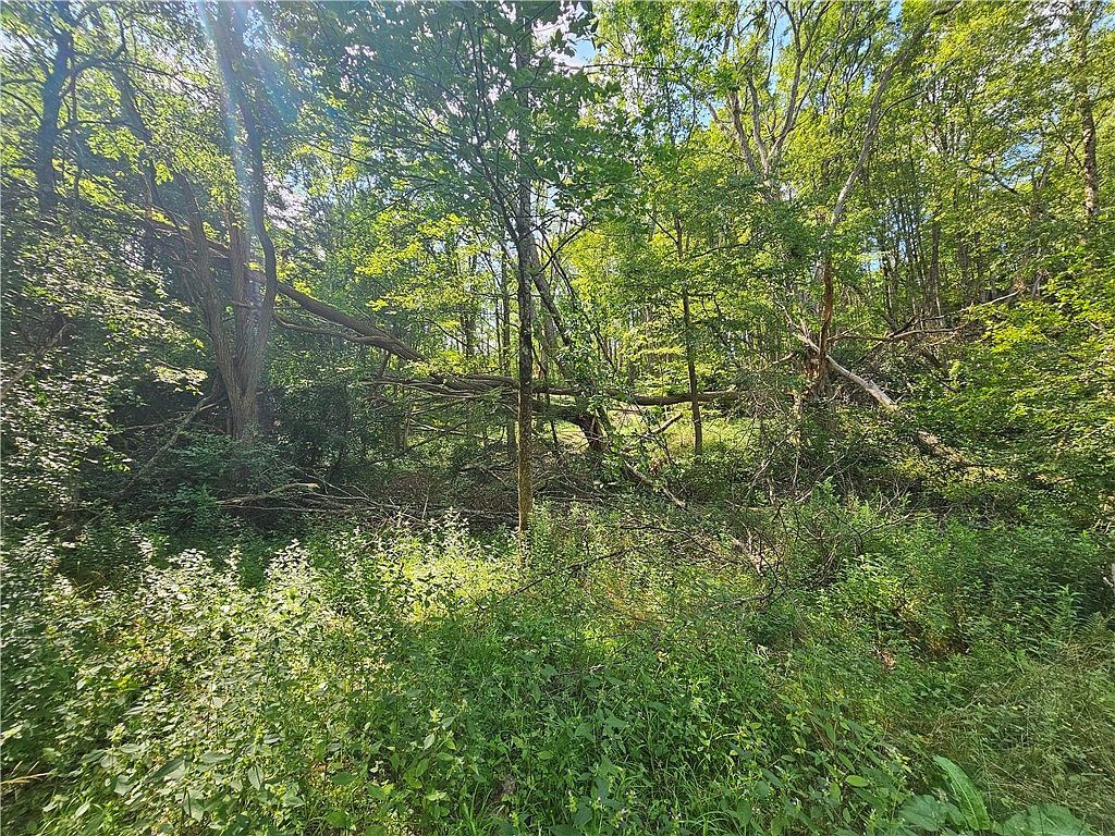 1310 County Road 16 #13 Beaver Dams, NY 14812  | Land/Lot