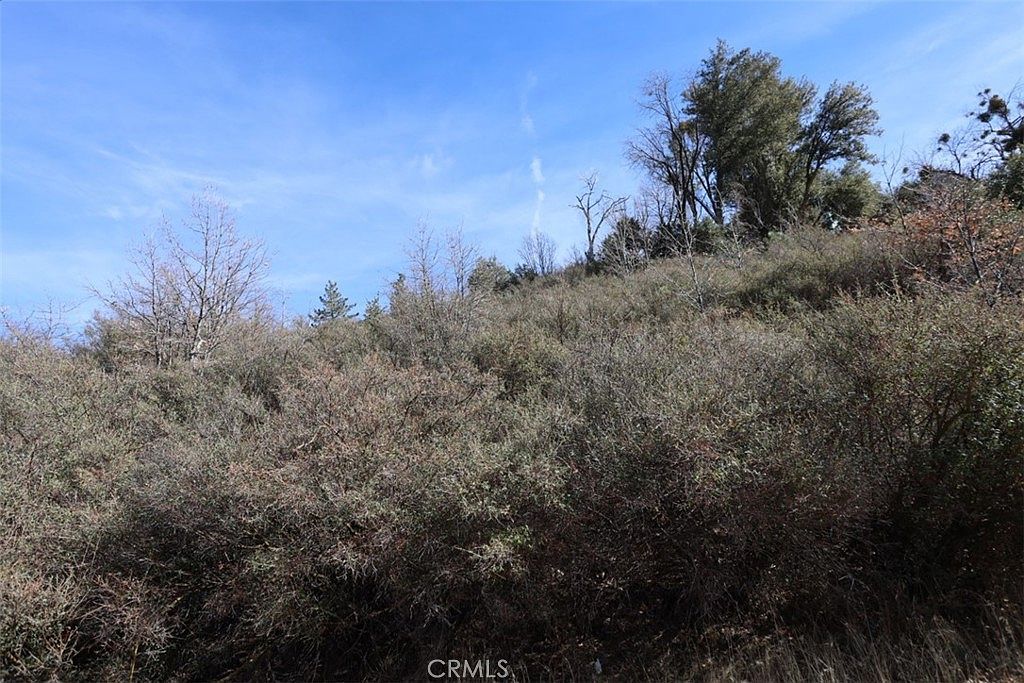 0 Acacia Rd Cedar Glen, CA 92321  | Land/Lot
