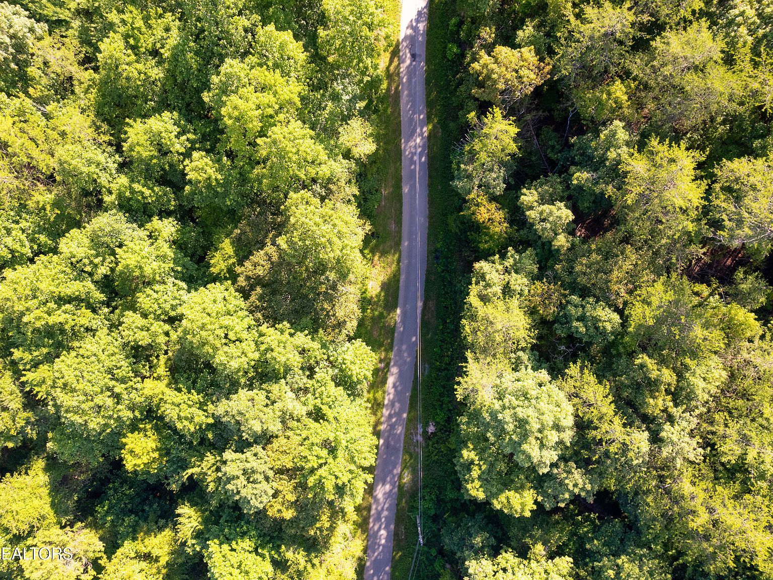 Steve Brown Rd Bean Station, TN 37708  | Land/Lot