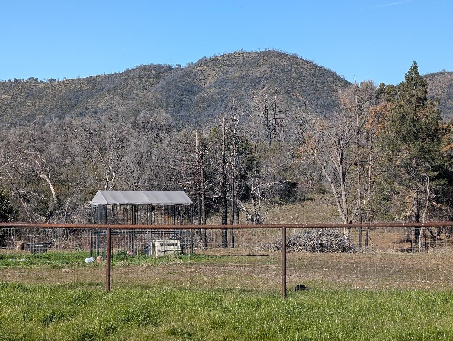 4103 Triangle Rd Mariposa, CA 95338  | Land/Lot