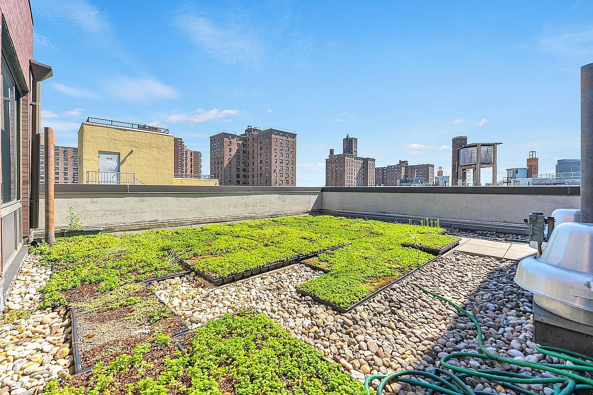 353 E 104th St APT 9C New York, NY 10029  | Condominium