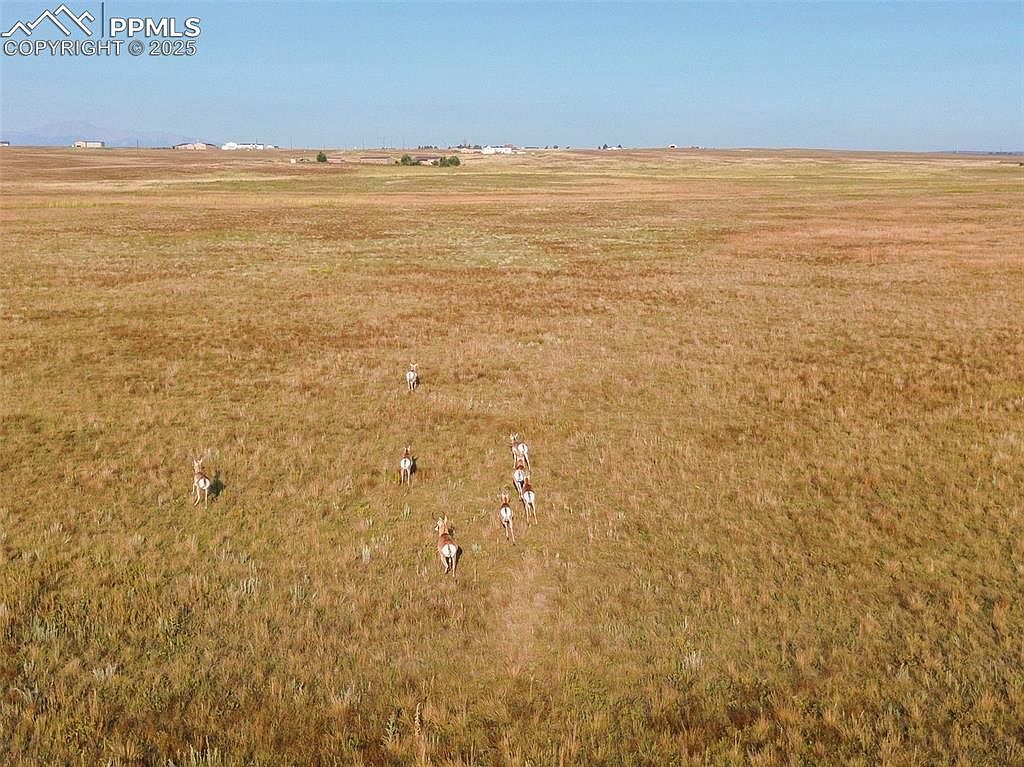 11950 N Log Rd Peyton, CO 80831 | Land/Lot