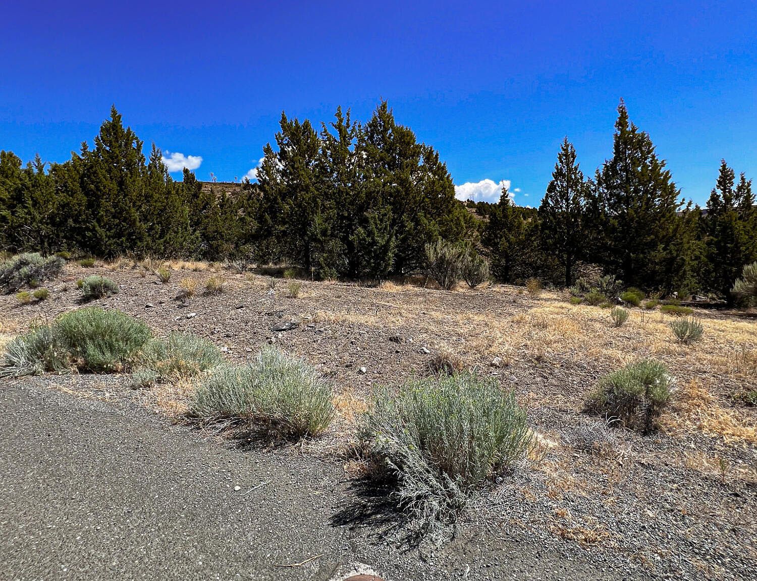 219 Valley View Dr John Day, OR 97845 | Land/Lot