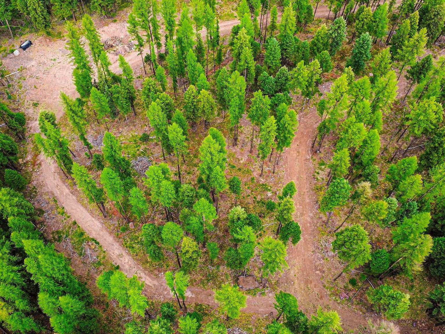 5449 Highway 83 Condon, MT 59826 | Single Family