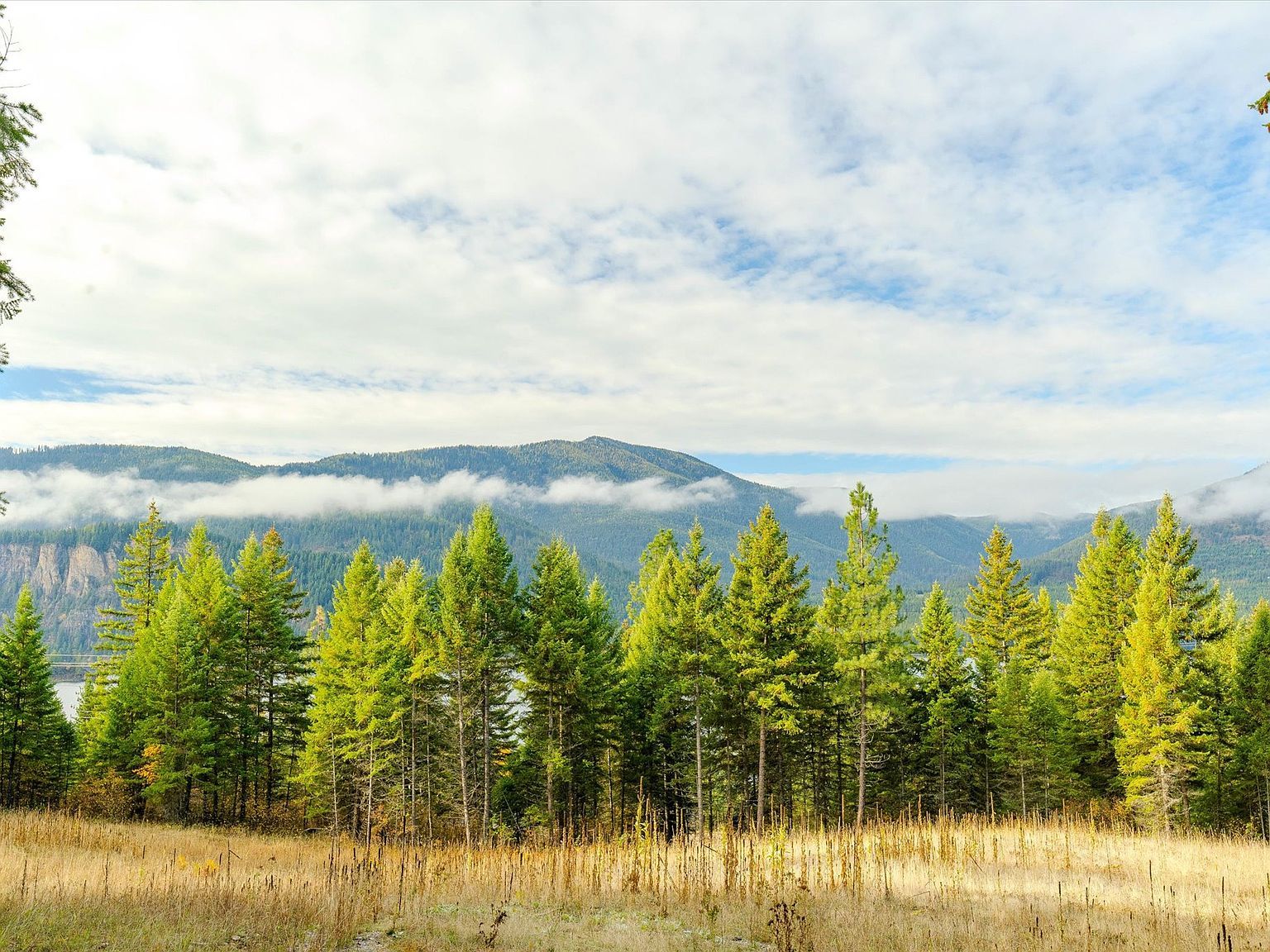 2 McKay Minor Rd Noxon, MT 59853  | Land/Lot