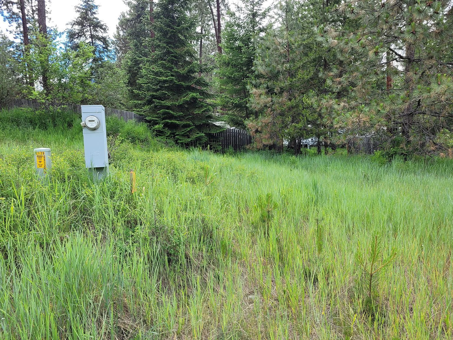 Nhn Mossy Rock Ct Thompson Falls, MT 59873  | Land/Lot