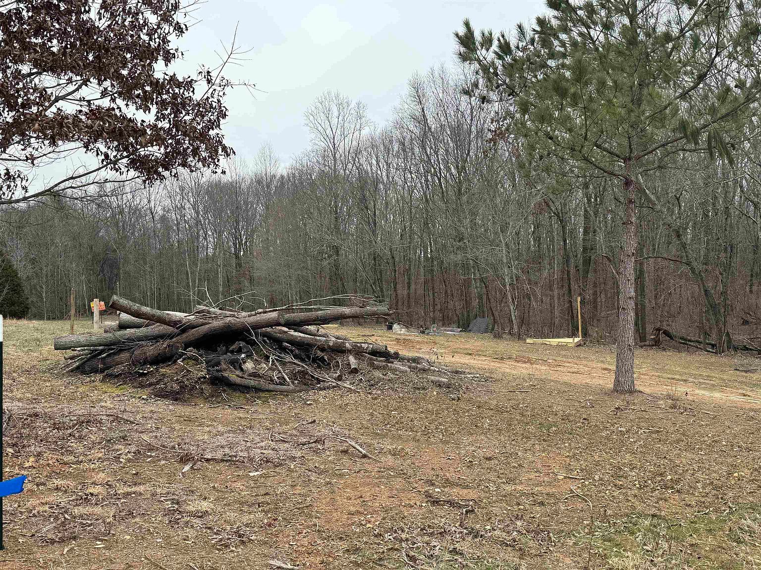 1022 County Road 545 Rogersville, AL 35652  | Land/Lot