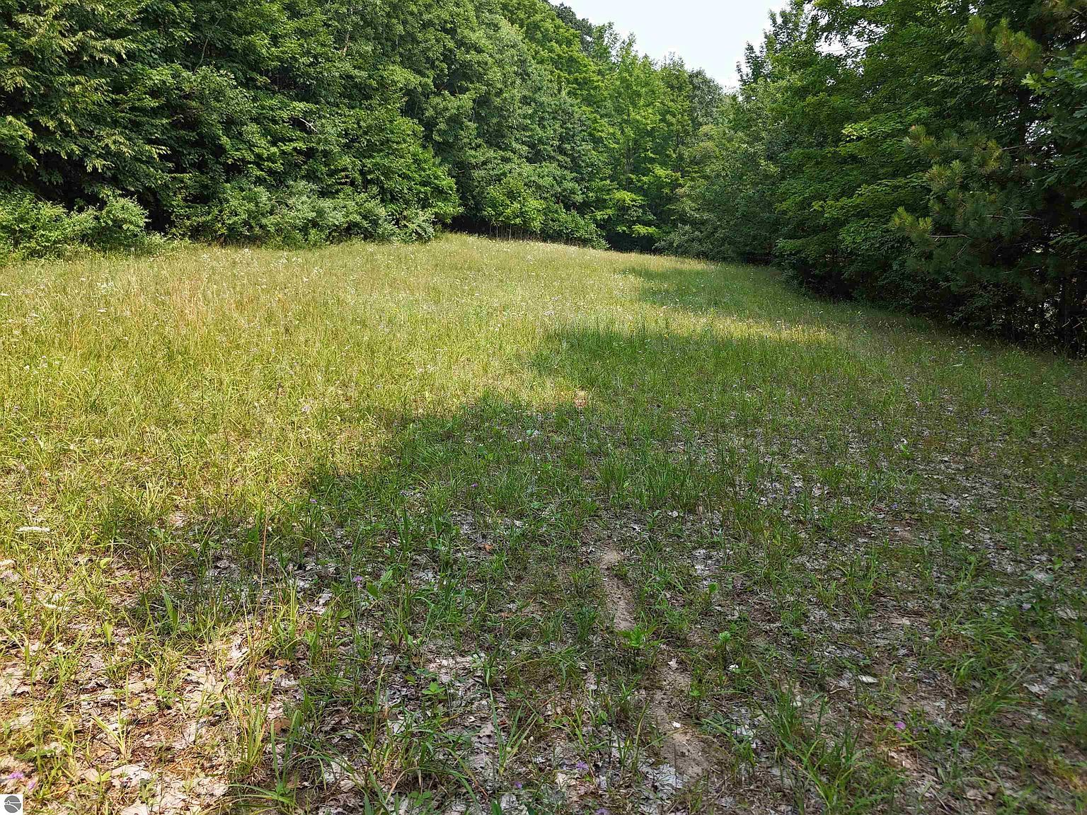 V/l S Schomberg Rd Lake Leelanau, MI 49653  | Land/Lot