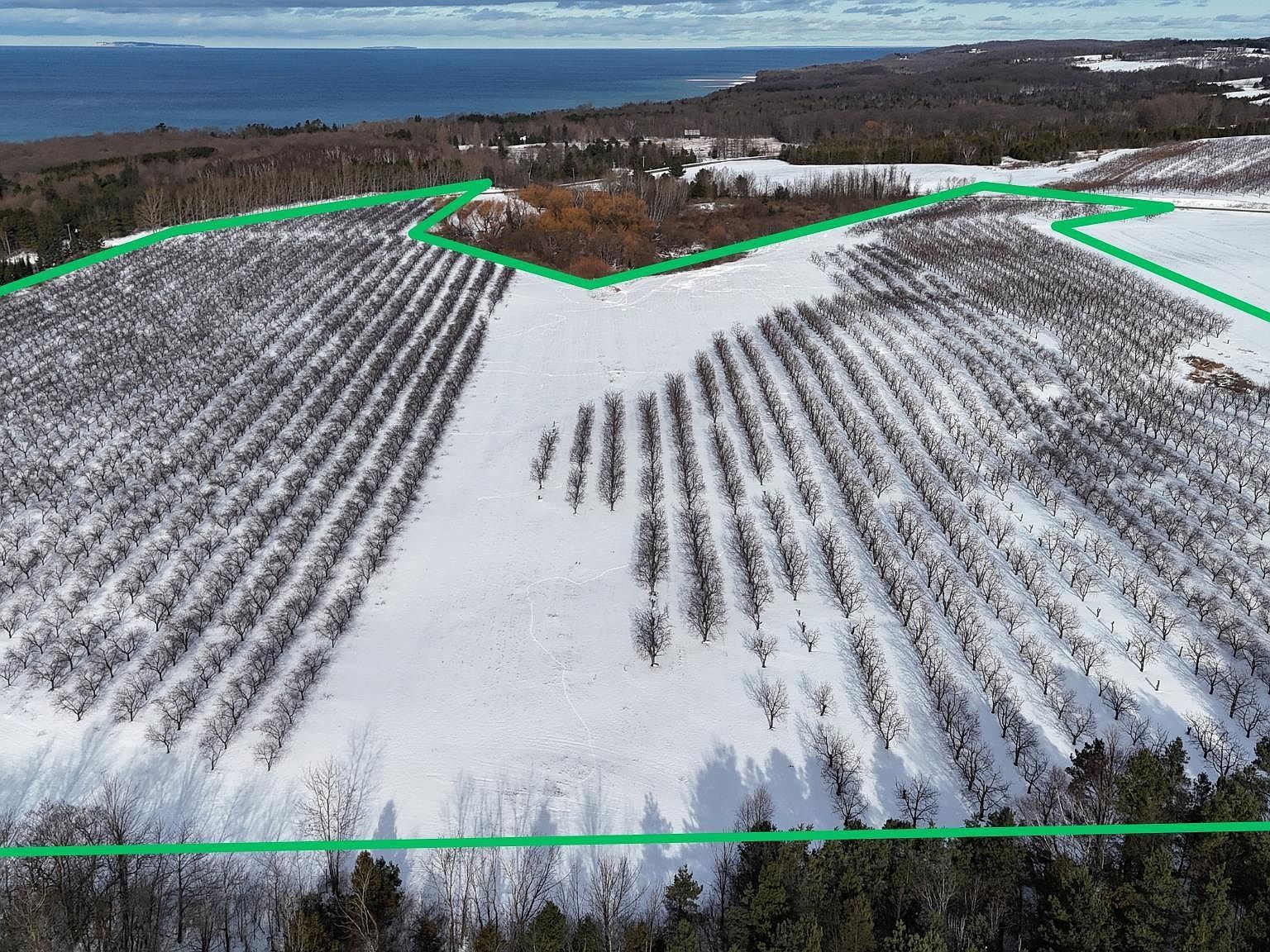 N Manitou Trl Northport, MI 49670  | Land/Lot