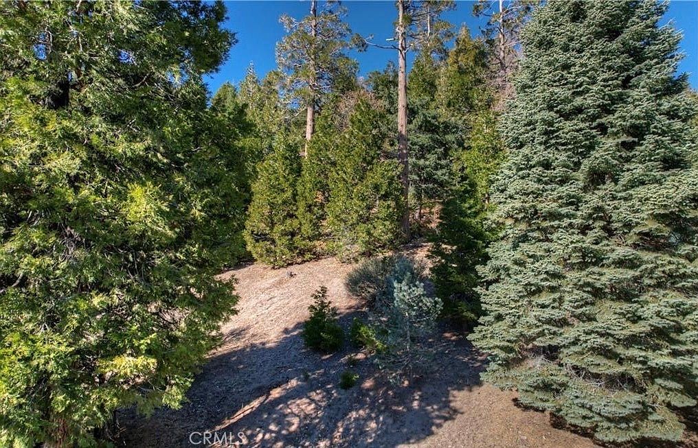 2402 Spring Oak Dr #219 Running Springs, CA 92382  | Land/Lot