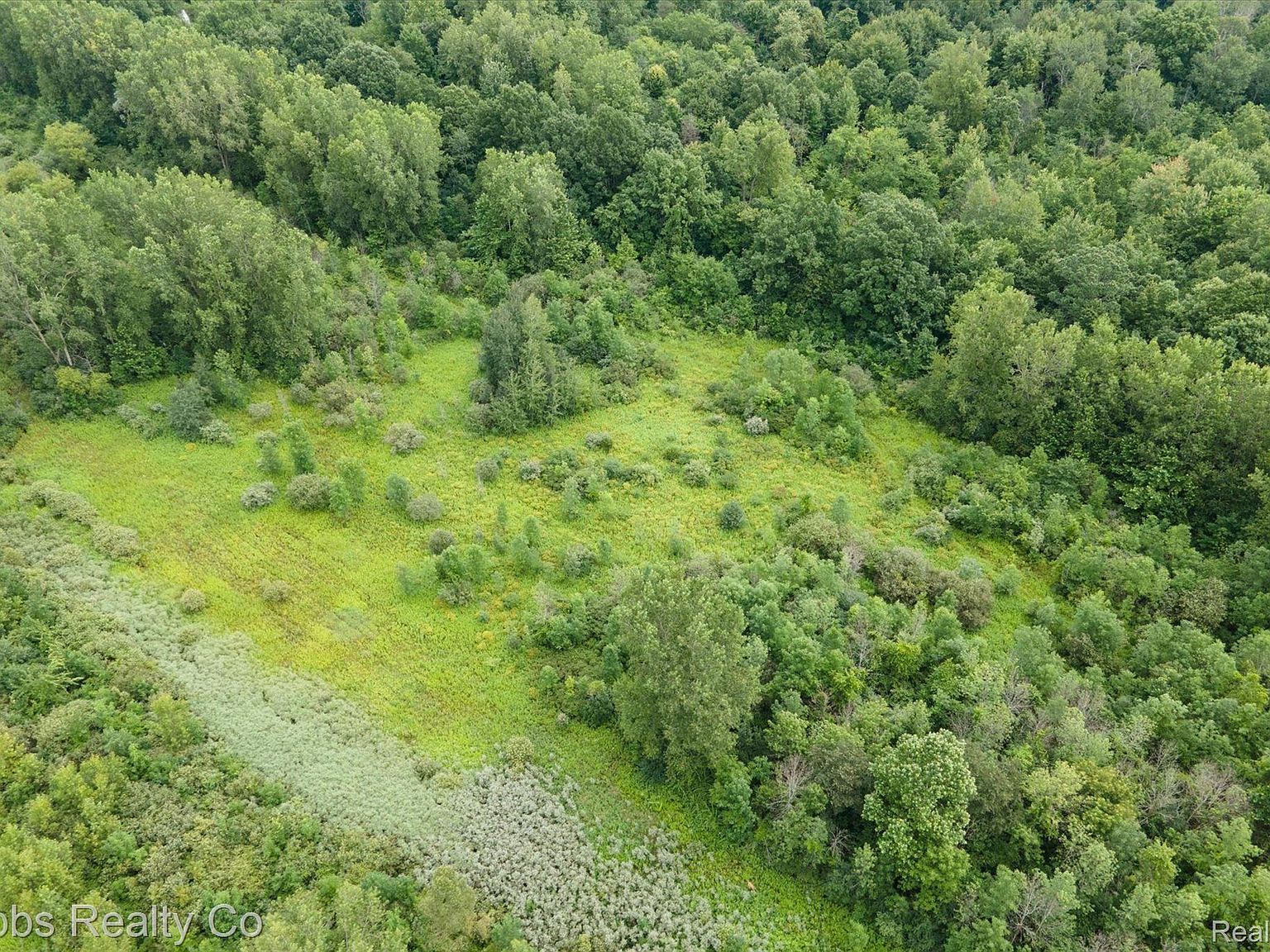 0 Birch Run Rd Millington, MI 48746 | Land/Lot