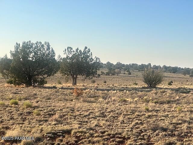 349N W Rocky Top Rd Seligman, AZ 86337  | Land/Lot
