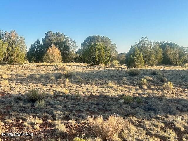 349N E Rocky Top Rd Seligman, AZ 86337  | Land/Lot