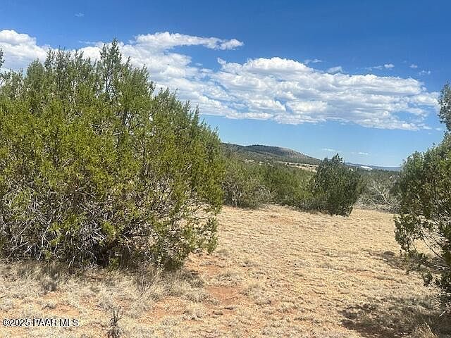 51739 Cisne Cir Seligman, AZ 86337  | Land/Lot