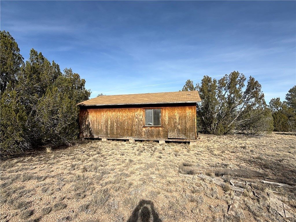 40087 W Salty Branch Trl Seligman, AZ 86337  | Land/Lot