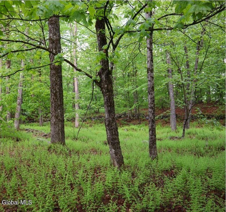 L2111 Black River Rd Stephentown, NY 12169 | Land/Lot