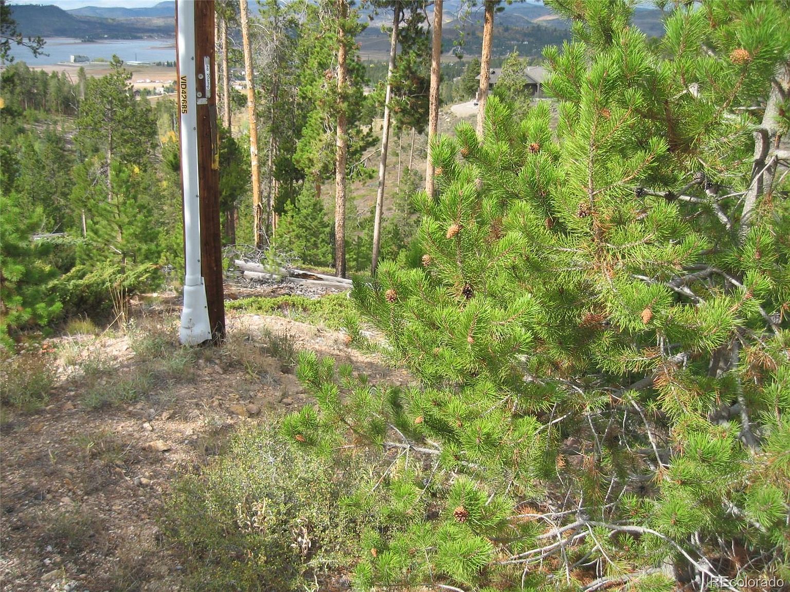 1384 County Road 642 Grand Lake, CO 80447 | Land/Lot