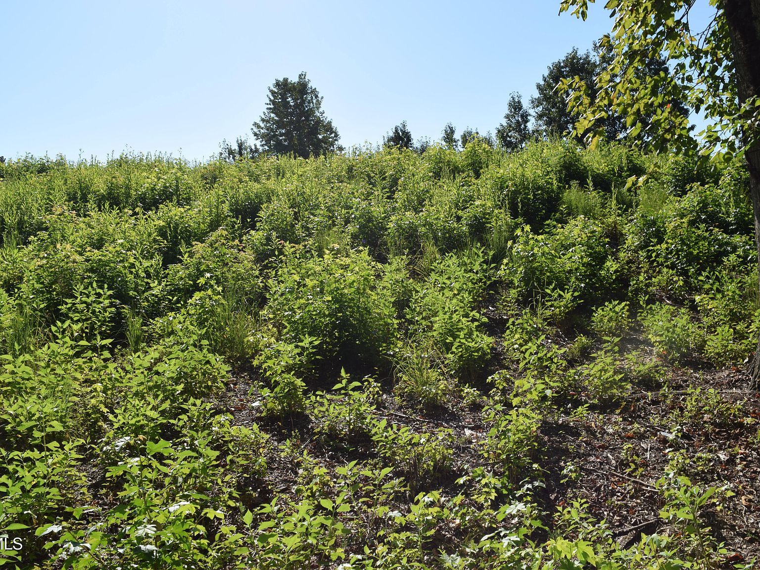 347 Water View Dr Rockwood, TN 37854  | Land/Lot