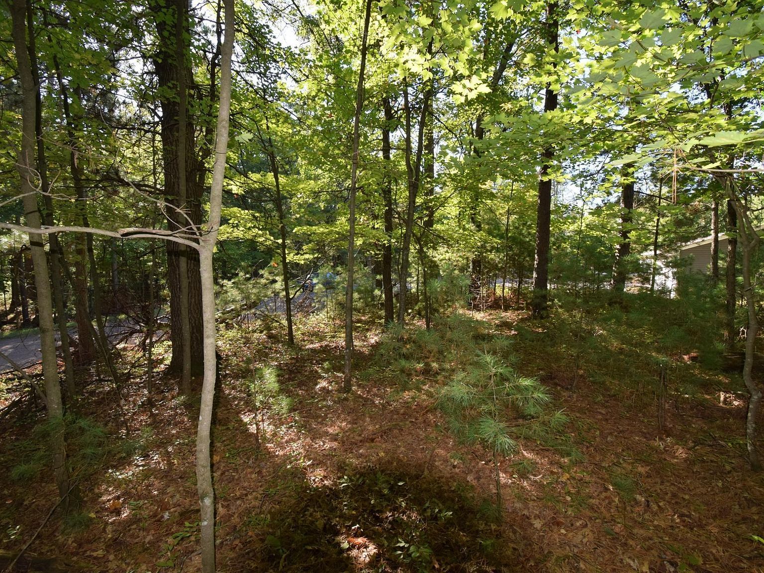 Redwing Trailway Danbury, WI 54830  | Land/Lot
