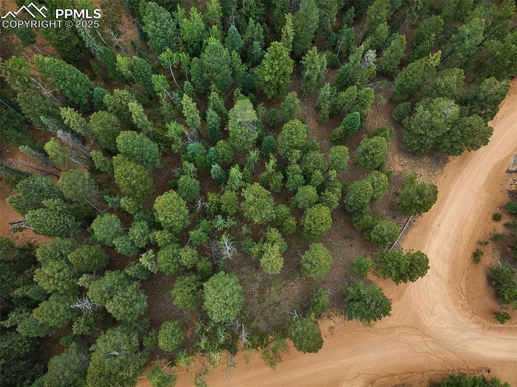 810 Ridge Rd Divide, CO 80814 | Land/Lot