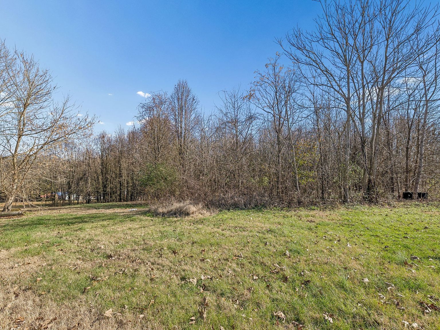 1733 Belotes Ferry Rd Lebanon, TN 37087 | Single Family