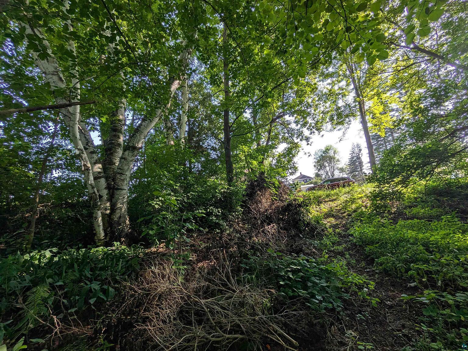 3XX N 83rd Ave W Duluth, MN 55807  | Land/Lot