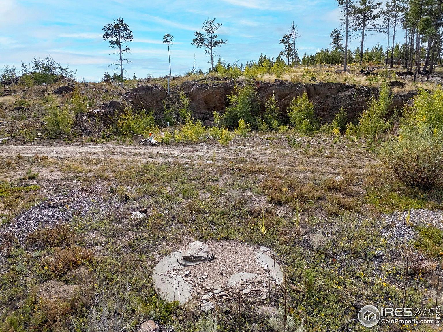 805 Meadows Dr Drake, CO 80515  | Land/Lot