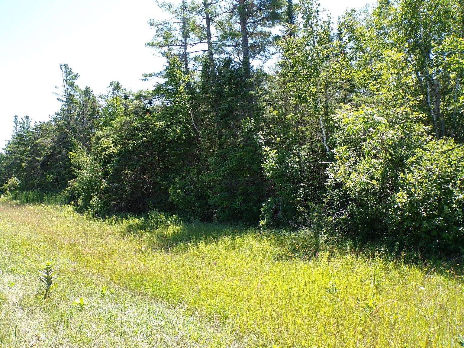 Us Highway 23 N Millersburg, MI 49759  | Land/Lot
