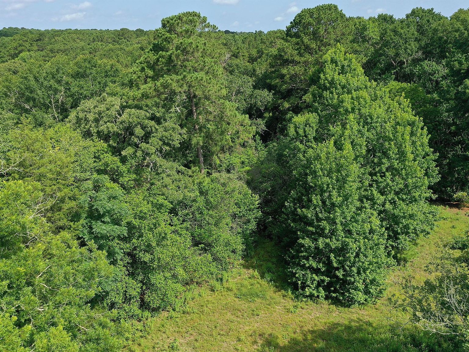 373 Johnson Rd Huntsville, TX 77320  | Land/Lot