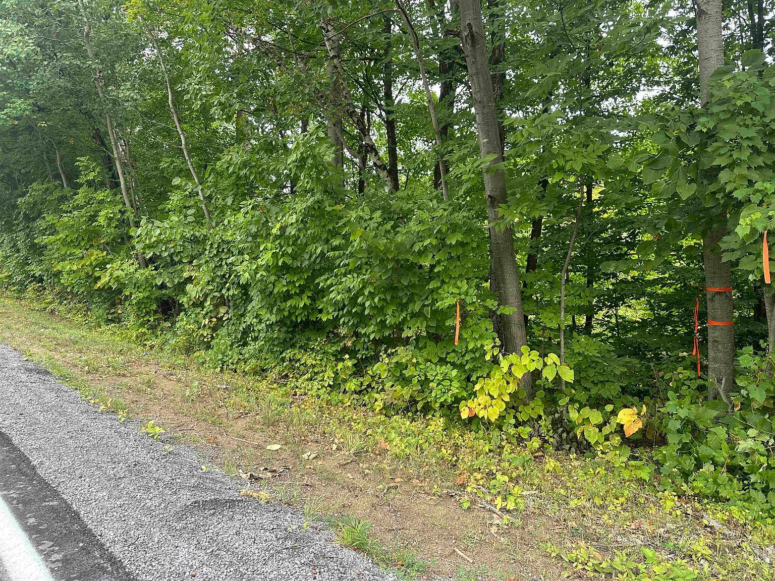 1 County Route 36 Chase Mills, NY 13621  | Land/Lot