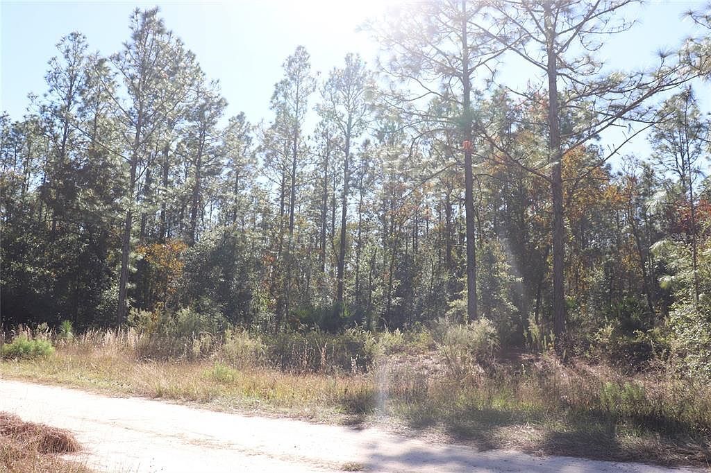 SW 131st Cir LOT 11 Ocala, FL 34481 | Land/Lot