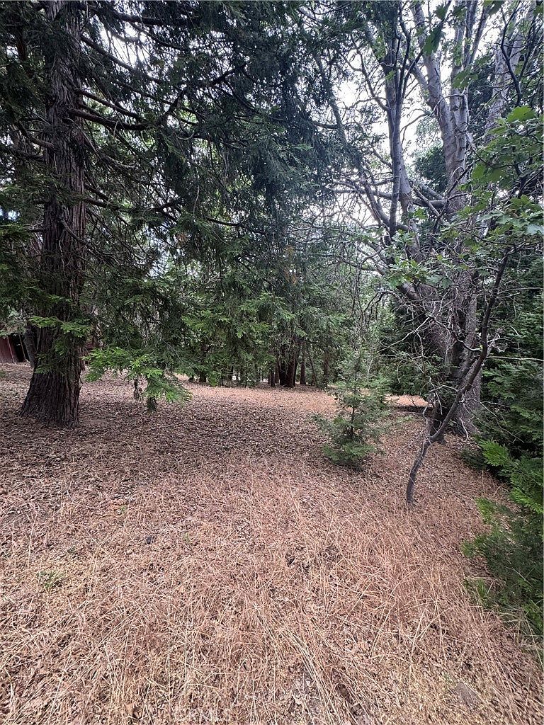 0 Cumberland Dr LOT 5 Lake Arrowhead, CA 92352  | Land/Lot