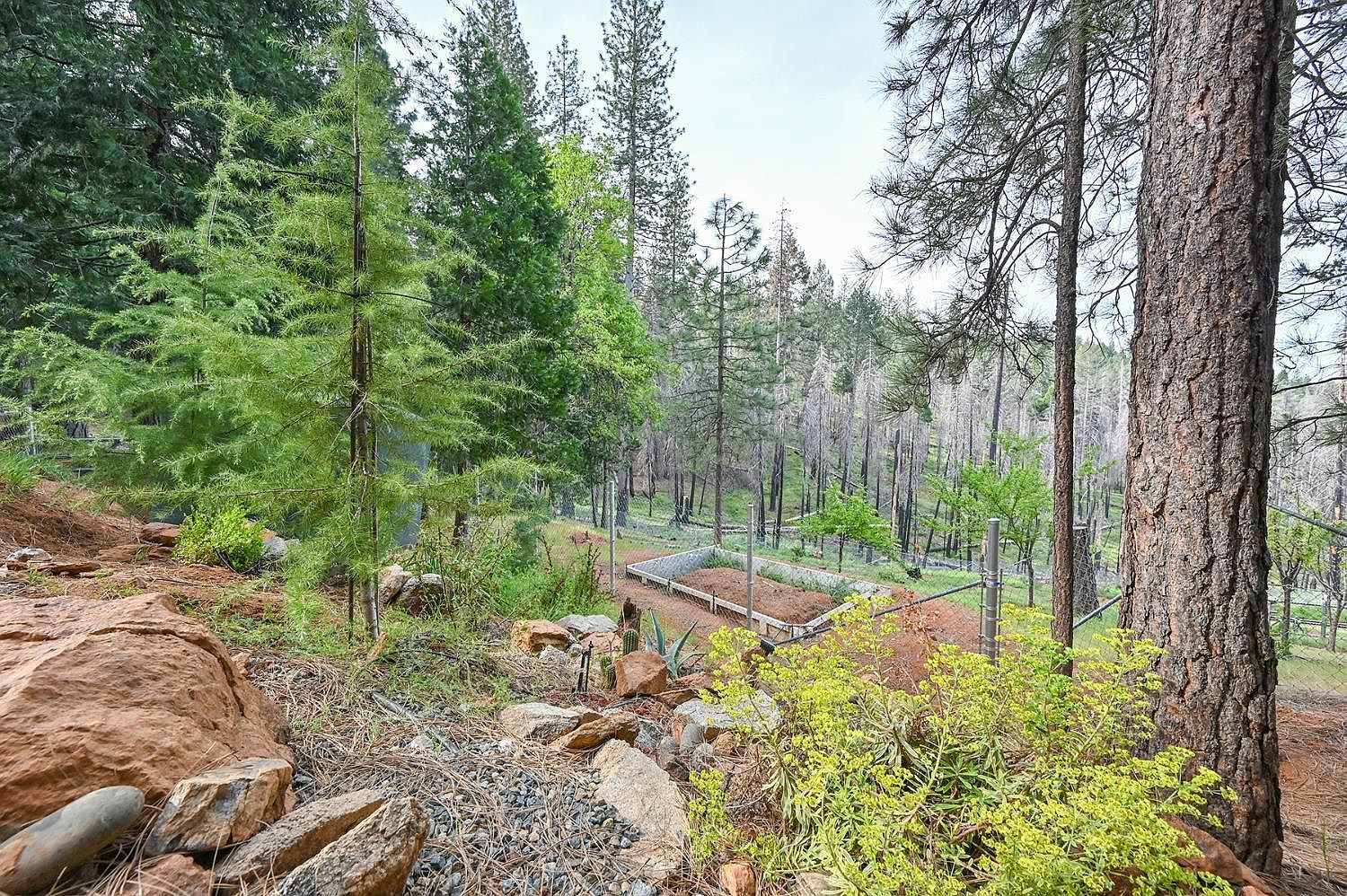 5194 Woodhaven Dr Grizzly Flats, CA 95636 | Land/Lot